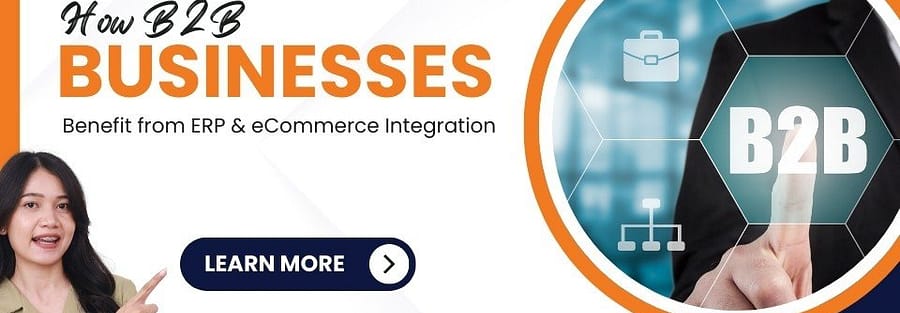 How B2B Businesses Benefit from ERP & eCommerce Integration